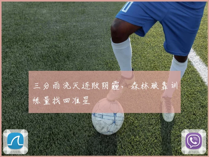 三分雨浇灭连败阴霾，森林狼靠训练量找回准星