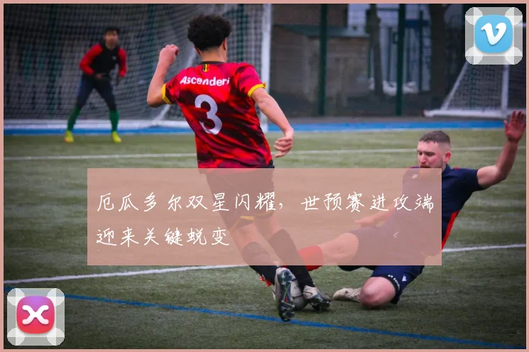 厄瓜多尔双星闪耀，世预赛进攻端迎来关键蜕变