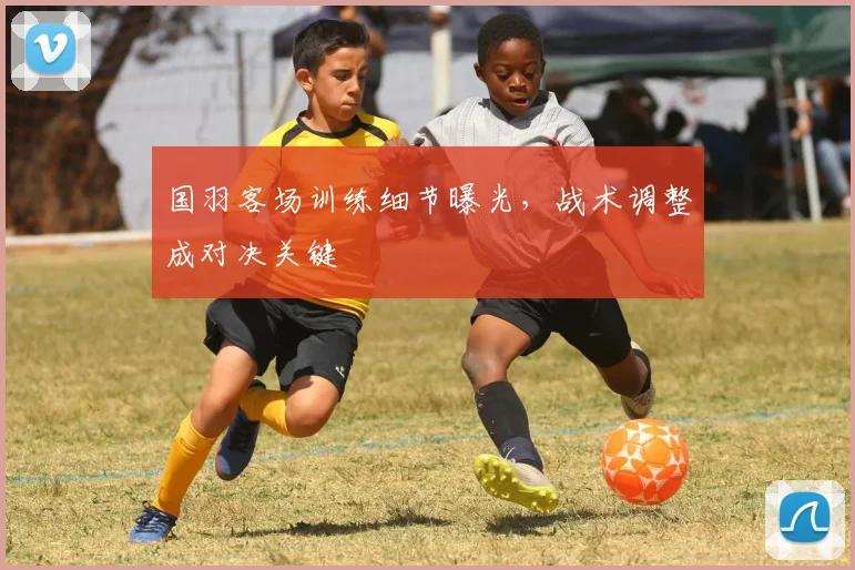 国羽客场训练细节曝光，战术调整成对决关键